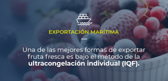 Sobre una foto con un bello tazón de frutos rojos congelados, mostramos que el artículo trata de exportación marítima y que una de las mejores formas de exportar fruta fresca es utilizando el método de la ultracongelación individual (IQF)